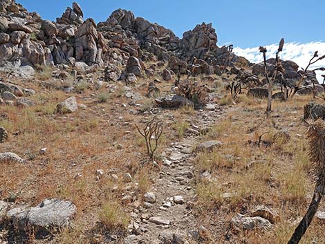 Teutonia Peak Trail