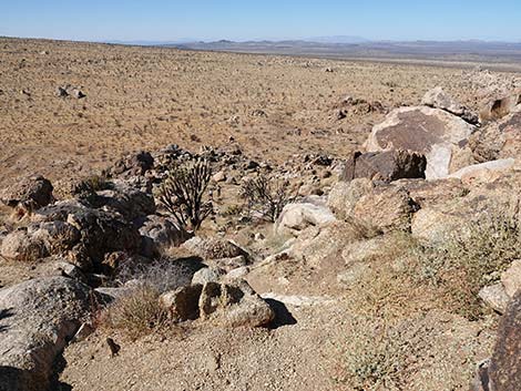 Teutonia Peak