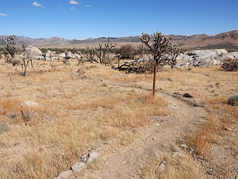 Teutonia Peak