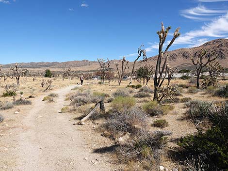 Teutonia Peak