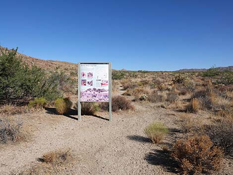 Barber Loop Trail