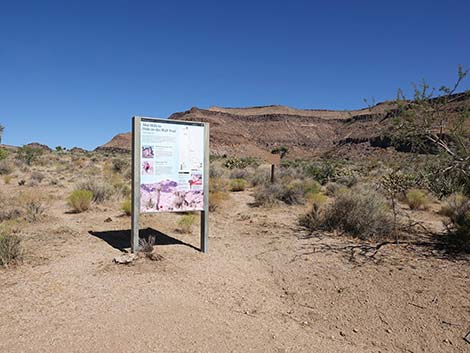 Wild Horse Trailhead