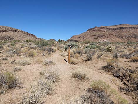 Wild Horse Trailhead