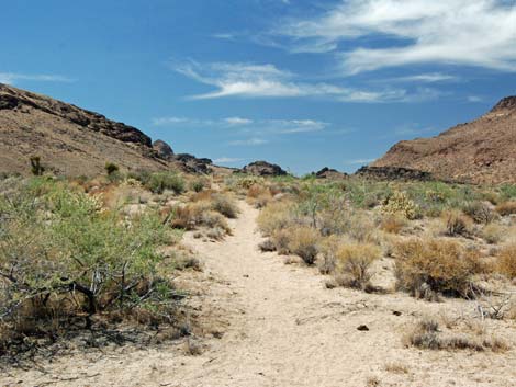 Wild Horse Spur Trail