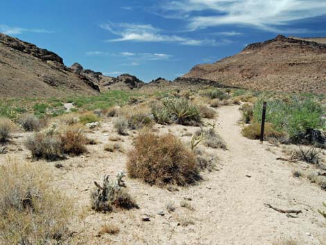 Wild Horse Spur Trail