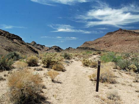 Wild Horse Spur Trail