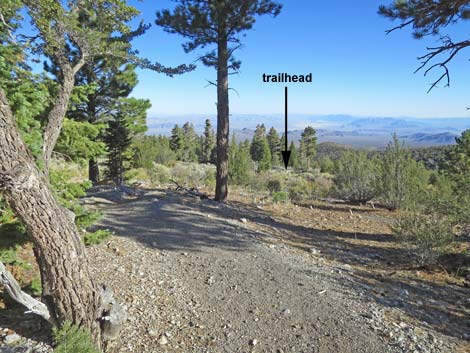 Bonanza Peak Trail