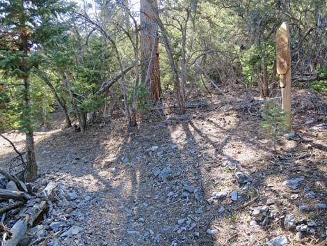 Bonanza Peak Trail