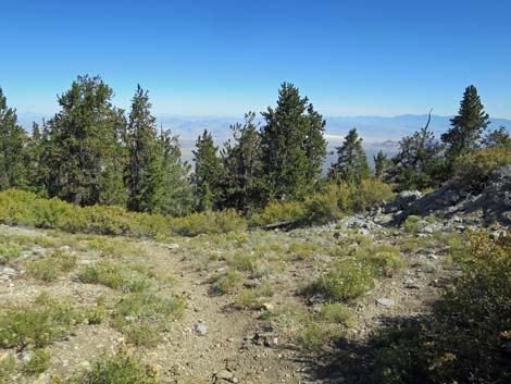 Bonanza Peak Trail