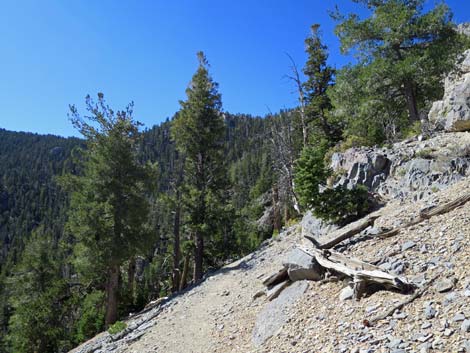 Bonanza Peak Trail