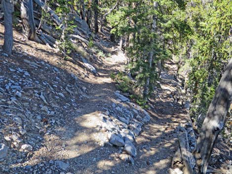 Bonanza Peak Trail