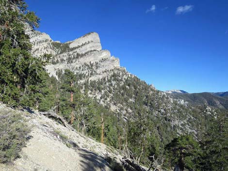 Bonanza Trail