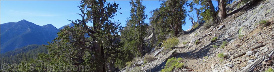 Bonanza Trail