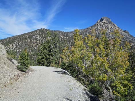 Bonanza Trail