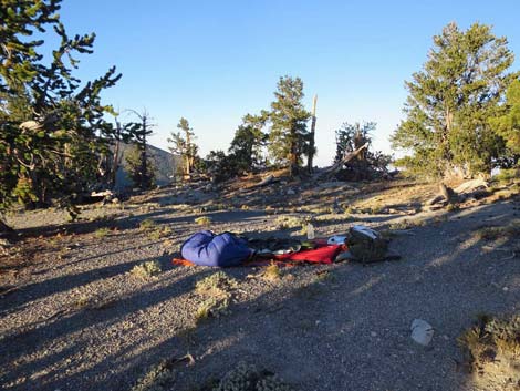 Bonanza Trail