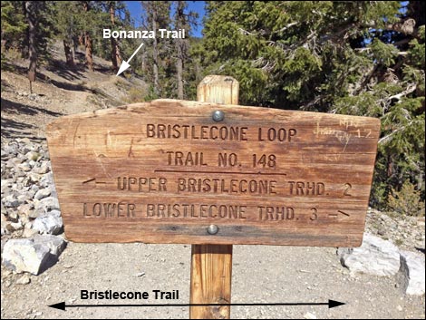 Bonanza Trail