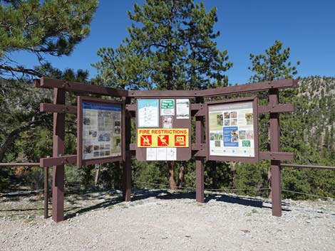 Upper Bristlecone Trailhead