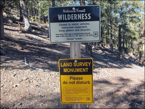 Old Bristlecone Trail