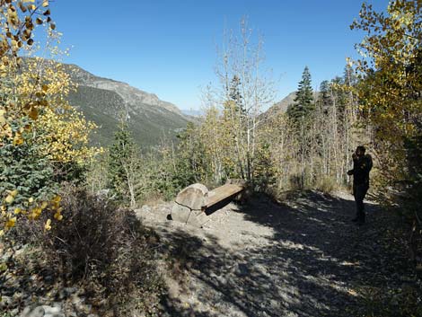 Cathedral Rock Trail