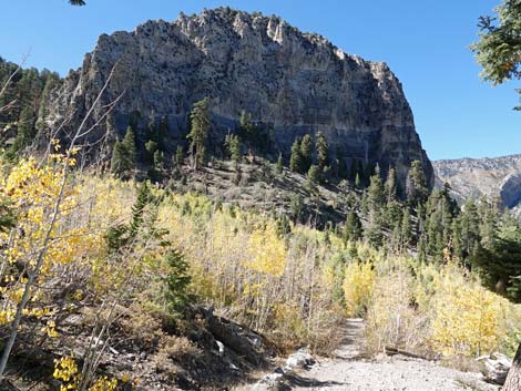 Cathedral Rock Trail