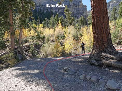 Cathedral Rock Trail