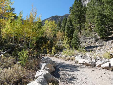 Cathedral Rock Trail