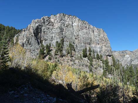 Cathedral Rock Trail