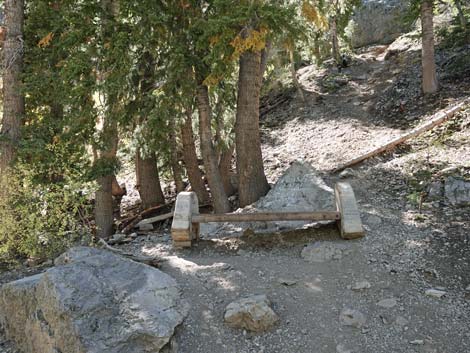 Cathedral Rock Trail