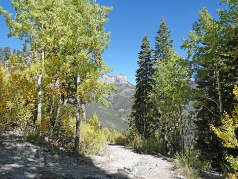 Cathedral Rock Trail