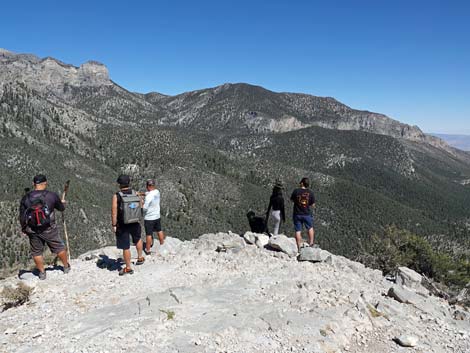 Cathedral Rock Trail