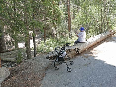 Deer Creek Trail