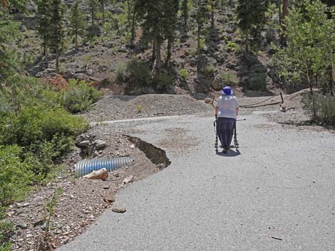 Deer Creek Trail