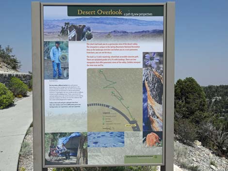 Desert View Overlook Trail