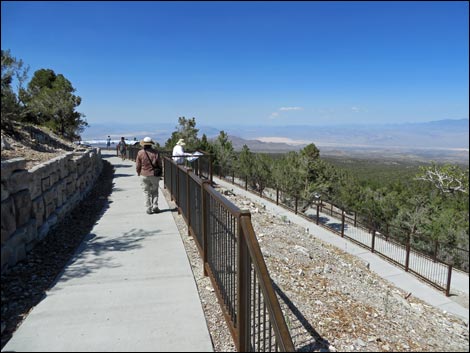 Desert View Overlook Trail