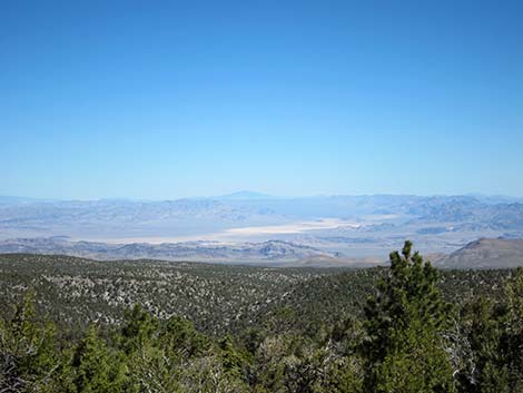 Desert View Overlook