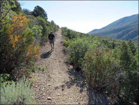 Eagle's Nest Loop Trail