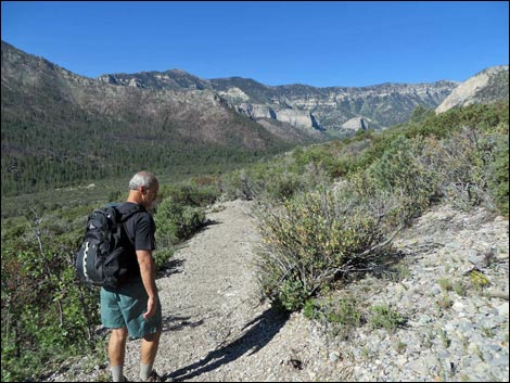 Eagle's Nest Loop Trail