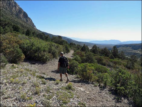 Eagle's Nest Loop Trail