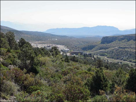 Eagle's Nest Loop Trail