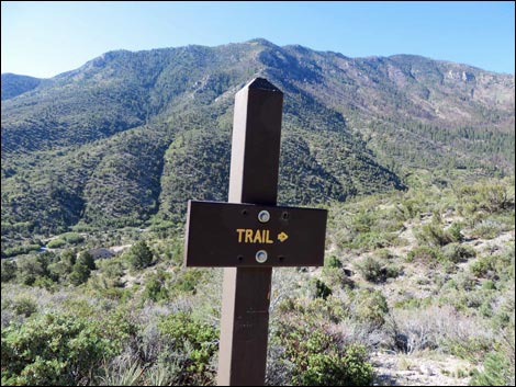 Eagle's Nest Loop Trail