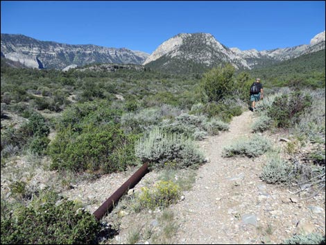 Eagle's Nest Loop Trail