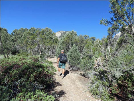 Eagle's Nest Loop Trail