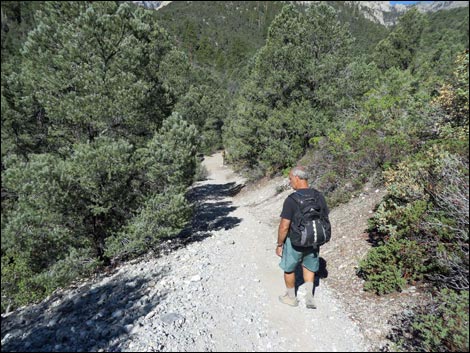 Eagle's Nest Loop Trail