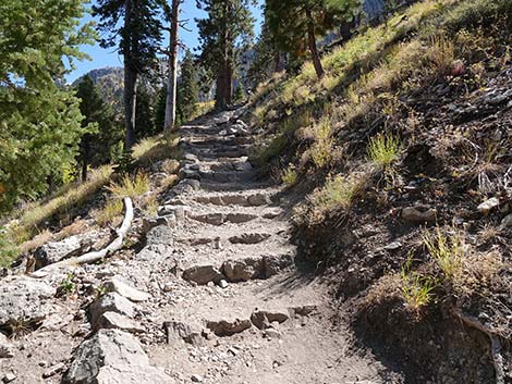 Echo Overlook