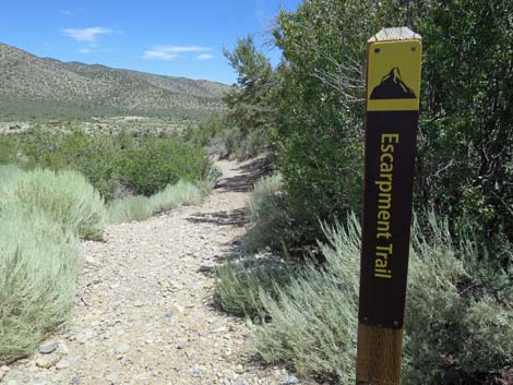 Escarpment Trail