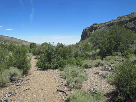 Escarpment Trail