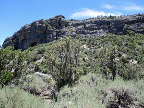 Escarpment Trail