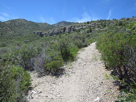 Escarpment Trail