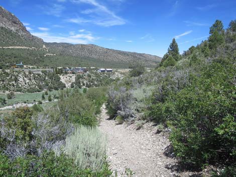 Escarpment Trail