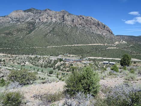 Escarpment Trail